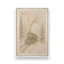 «Snowfall Sketches», ensemble de 2 impressions sur toile-26648674-26648678-26648684