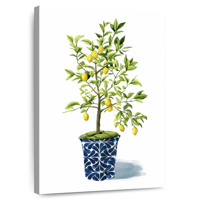 Harnek Fruit Tree II, 24" H x 16" W