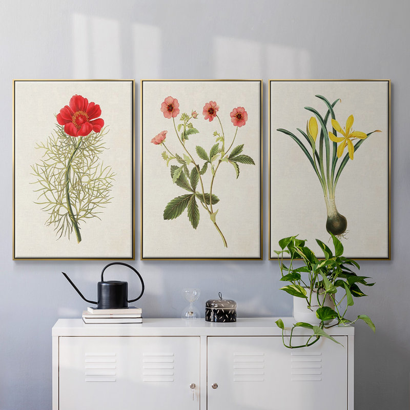 Fleurs des saisons VI, ensemble de 3 toiles encadrées, Encadrement doré, H 27 po x l 54 po