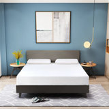 Briese Medium Green Tea Infused Memory Foam Mattress