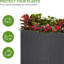 Plant Stand