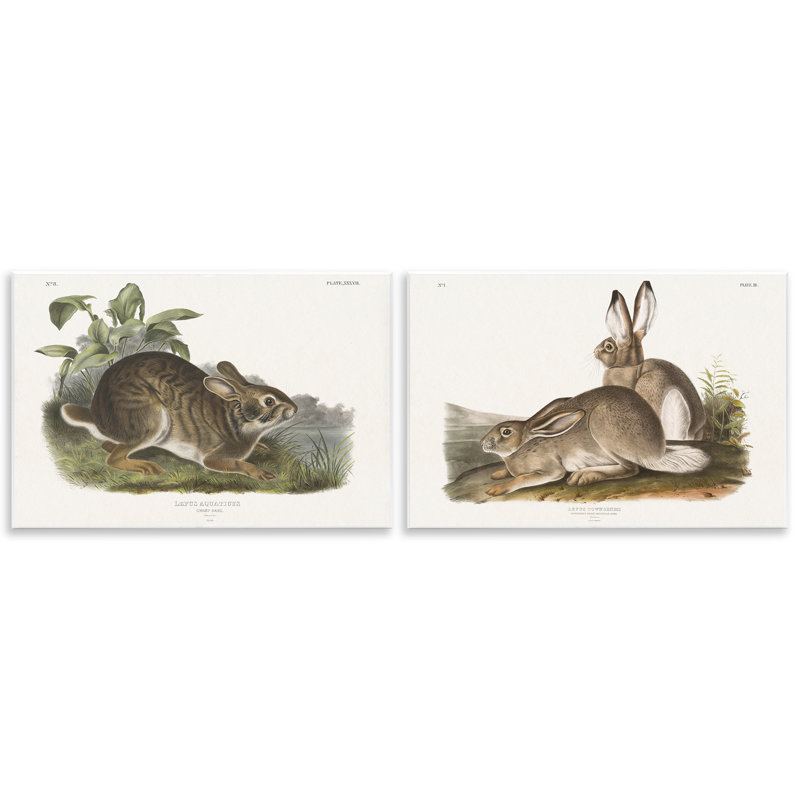 «Gentle Resting Cottage Rabbit», ensemble de 2 plaques murales par Wild Apple Portfolio, H 13 po x l 19 po