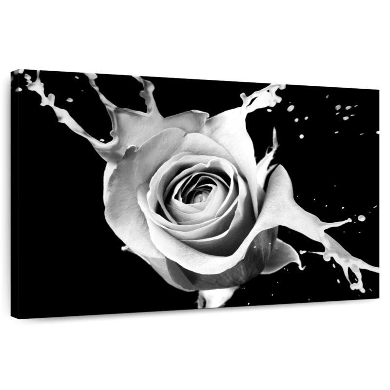 Harnek Rose Splash, H 8 po x l 12 po