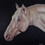 Equine Majesty