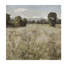 Serene Landscape II Print by Paul Duncan-26726972-26726978