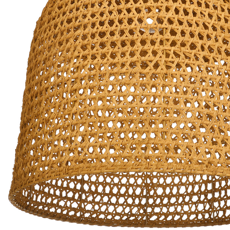 Luminaire suspendu 1 lumière Dome, H 17,71 po x l 11,81 po x P 11,81 po  