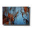 «Rust» par PhotoINC Studio-951081330