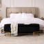 Shaneta 55" Velvet Storage Bench with Gold Legs-966775393