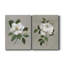 " Botanical Magnolia " 2 - Pieces-866586705-866586718-866272717
