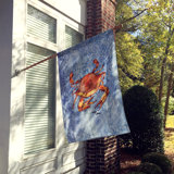Double Sided 40'' H x 28'' W Polyester House Flag