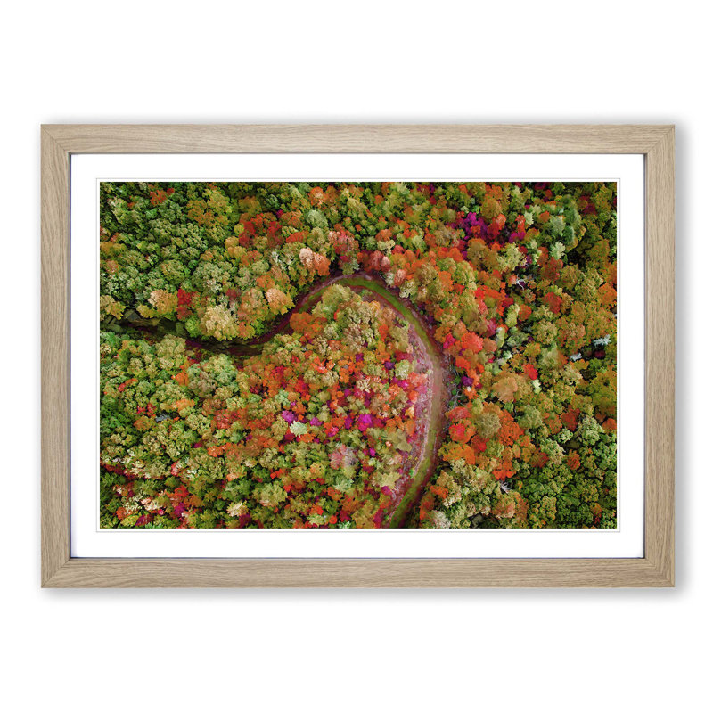 Road Through the Forest - Picture Frame Graphic Art Print, Oak, 50cm H x 76cm W x 2cm D