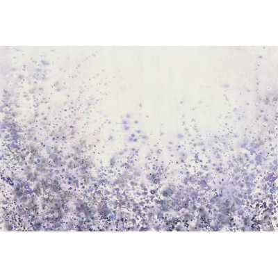 Soft Focus II