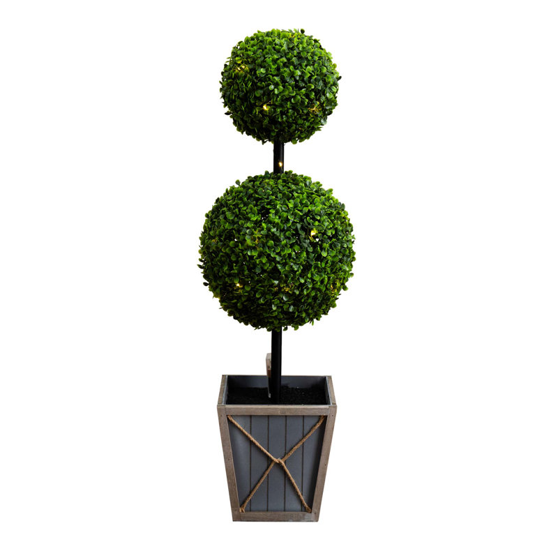 36 plantes