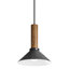 Emblem 1 - Light Pendant-74747929-74747930-94655710