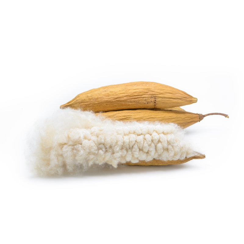 Coussin de soutien en fibre, Grand