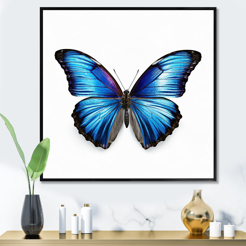 Papillon bleu vibrant I, 34" H x 44" W, Cadre flottant noir
