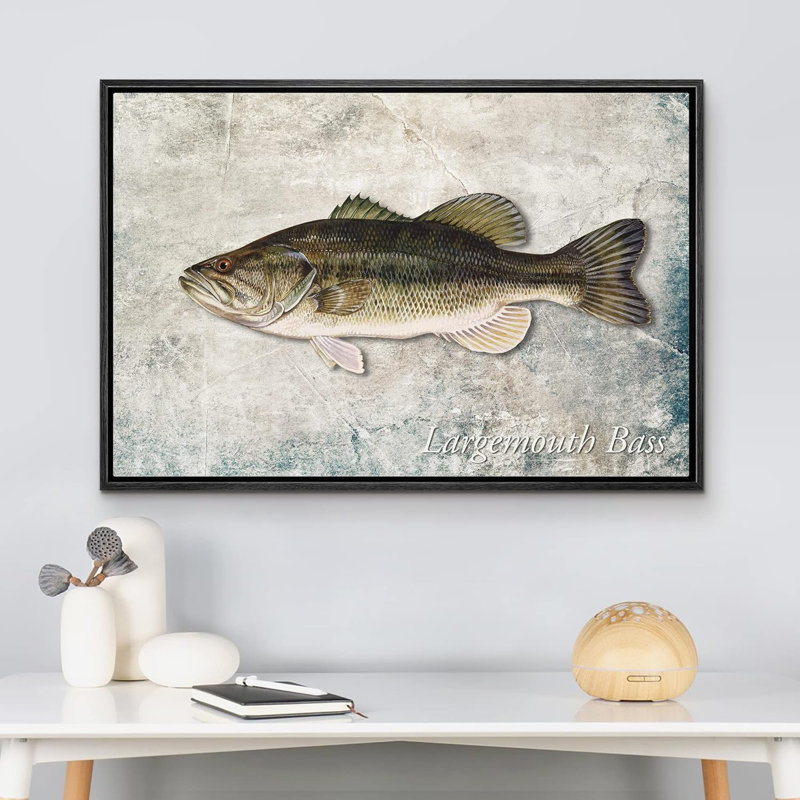 Fish " Largemouth Bass Fish On Granite Background Marine Life ", Black Framed, 16'' H x 24'' W