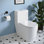 Toilette allongée une pièce à double chasse 1,1 / 1,6 gallon Liberte