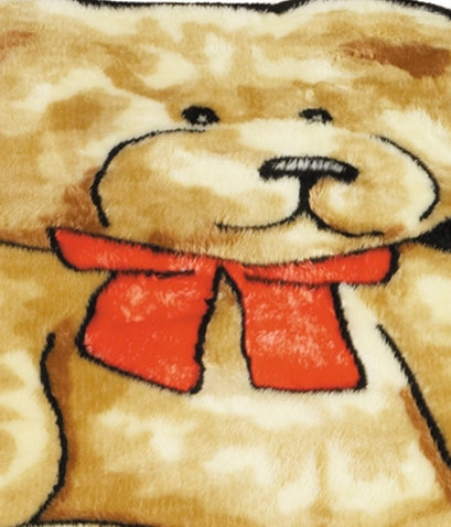 Teddy Bear Playmat, Novelty 3' x 5'