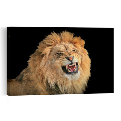 Roaring Lion Portrait Contemporary Cat Lion Nature Wildlife Wall Art Print