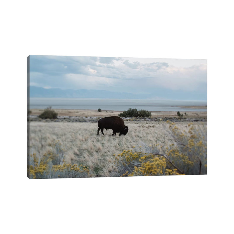 Bison In The Field by Chelsea Victoria - Wrapped Canvas Painting, 20.32 cm H x 30.48 cm W