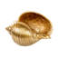 Rough Nickel Shell 22x16x12 Cm-736588844