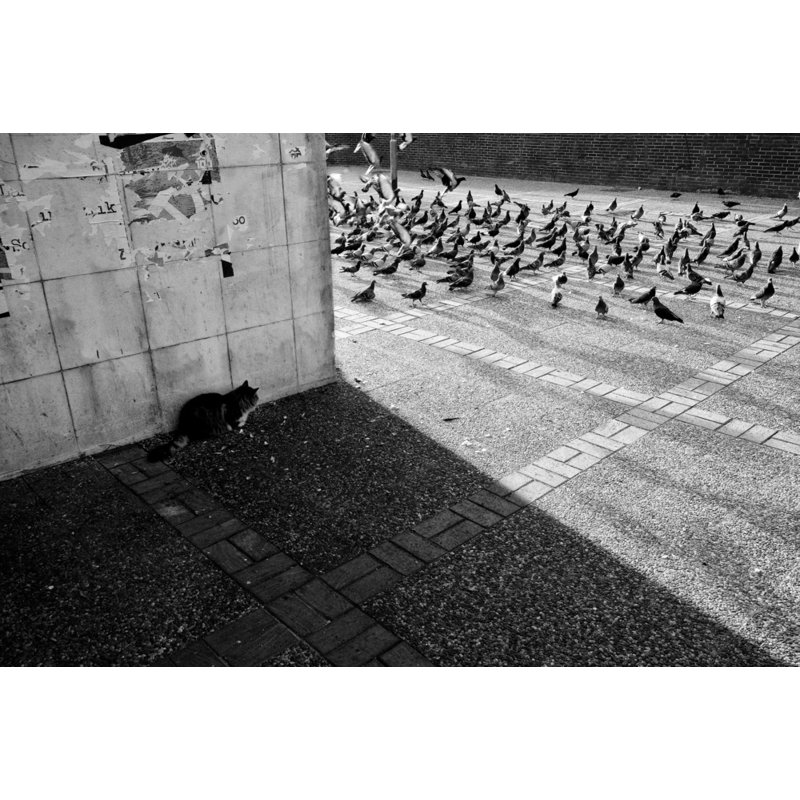 Wrapped Canvas Print, 50.8 cm H x 76.2 cm W