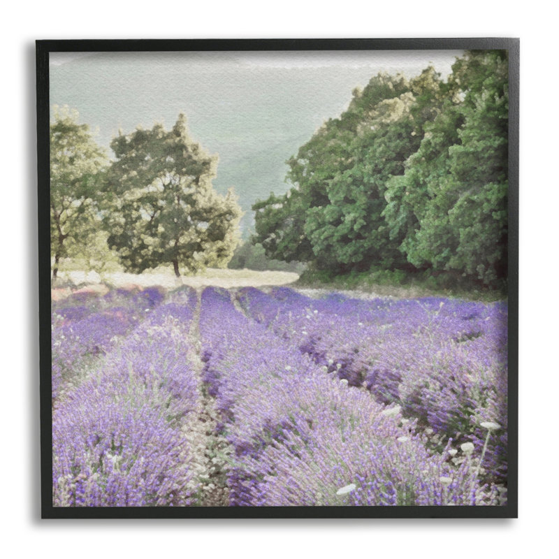 «Lavender Meadow Fields», impression encadrée sur bois, Noir, H 17 po x l 17 po x P 1,5 po