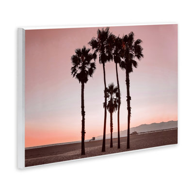 «Cluster of Palm Trees» par Natalie Carpentieri