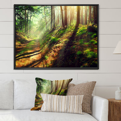 Sun Rays In Misty Old Forest IV - Art sur toile traditionnel