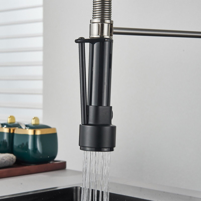 Belfry Kitchen Keneisha Pull Down Kitchen Faucet