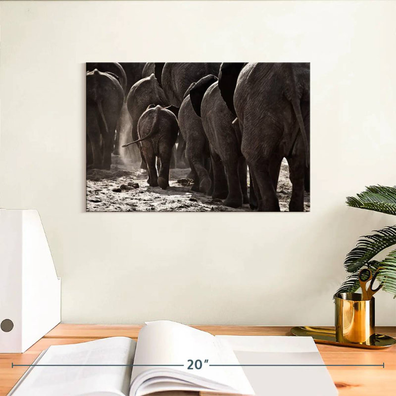 Crowle Vintage Elephants, H 8 po x l 12 po