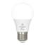 6400 K LED Smart Bulb-125556532-125556533