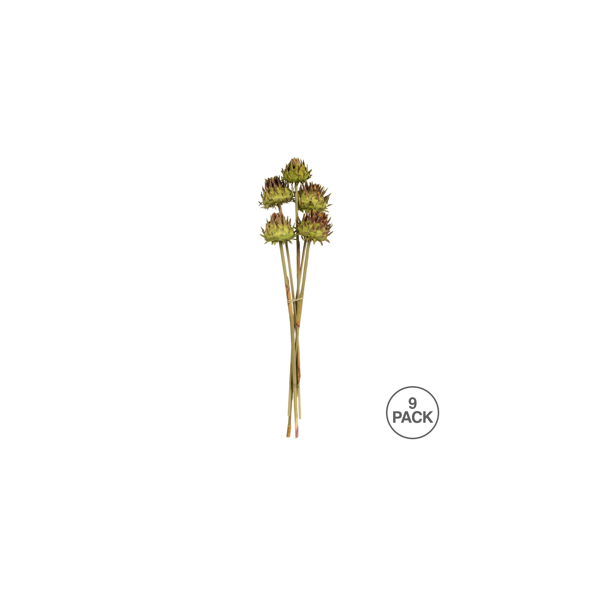 Vickerman 15" Artichoke Head With Reed Stem, Dried Artichoke Arrangement, Basil