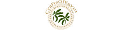 Logo CraftsOfEgypt