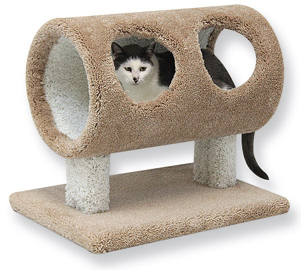 Huckabee 20'' H Cat Tree