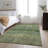 Premium Machine Washable Prisco Green Rug-1516956664