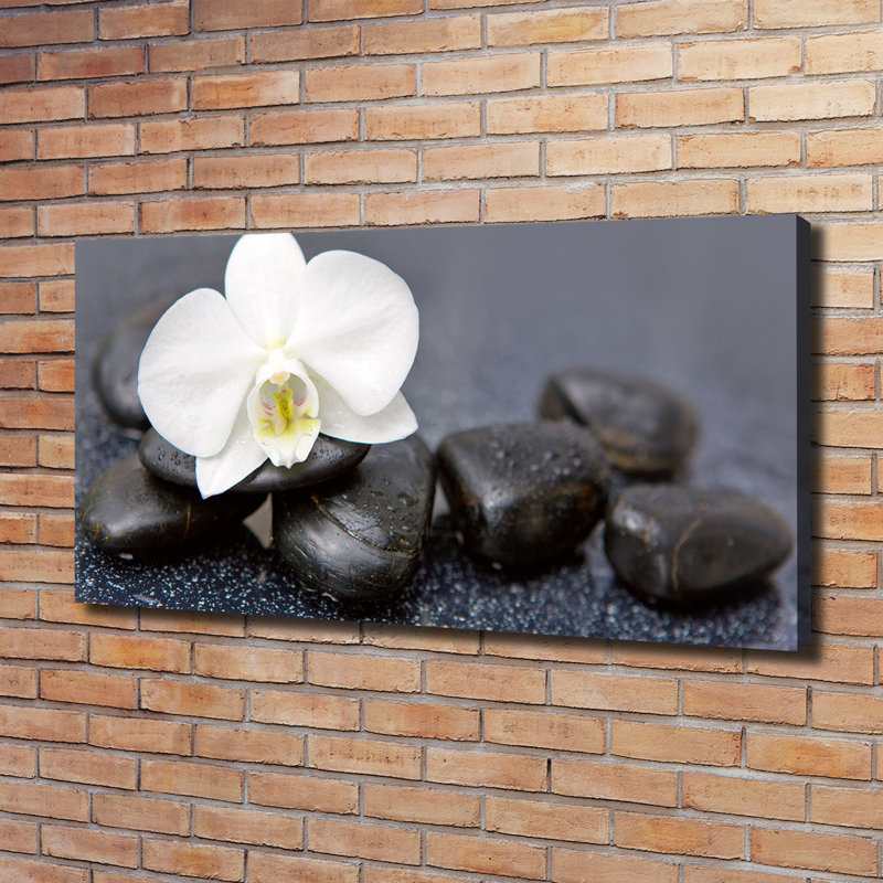 Orchid - Wrapped Canvas Print