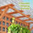 Pachl Vertical Garden with Trellis