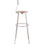 Backed Adjustable Height Ergonomic Lab Stool Footring-117563505-117563504