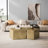 Irregular Pentagon Nesting Coffee Table Set, Geometric Coffee Table Set, Side Table Set, Cocktail Table Set, Center Table Set For Living Room, Bedroom,(Set Of 2 Pieces)-360005994