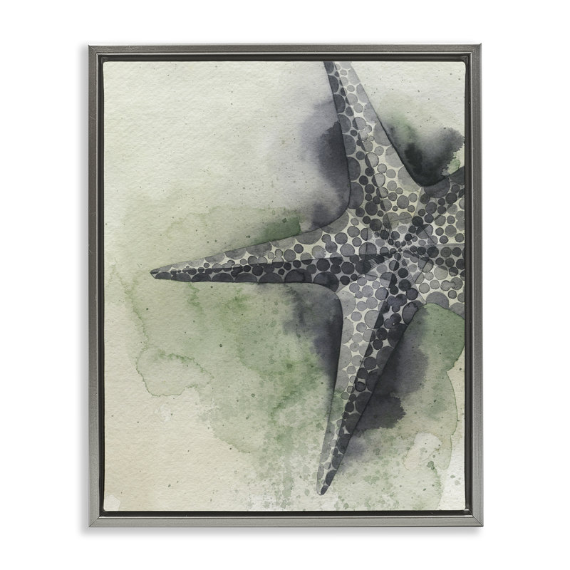 Toile flottante tachetée étoile de mer brune encadrée par Grace Popp, Cadre flottant gris lustré, H 21 po x l 17 po