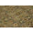 Roca Wool Oriental Rug