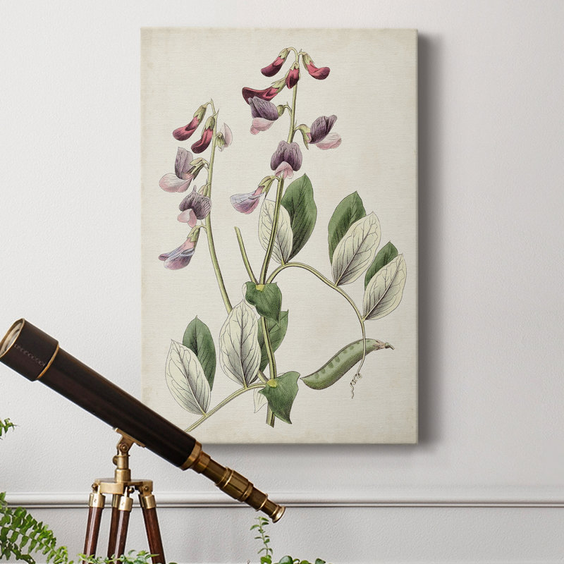 Antique Botanical Collection I - reproduction, H 12 po x l 8 po x P 1 po