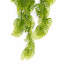 80 cm H Faux Plant-127681001