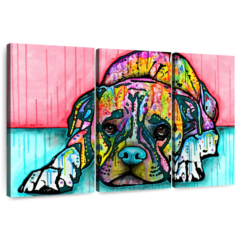 Boxer allongé Brampt, H 42 po x l 65 po