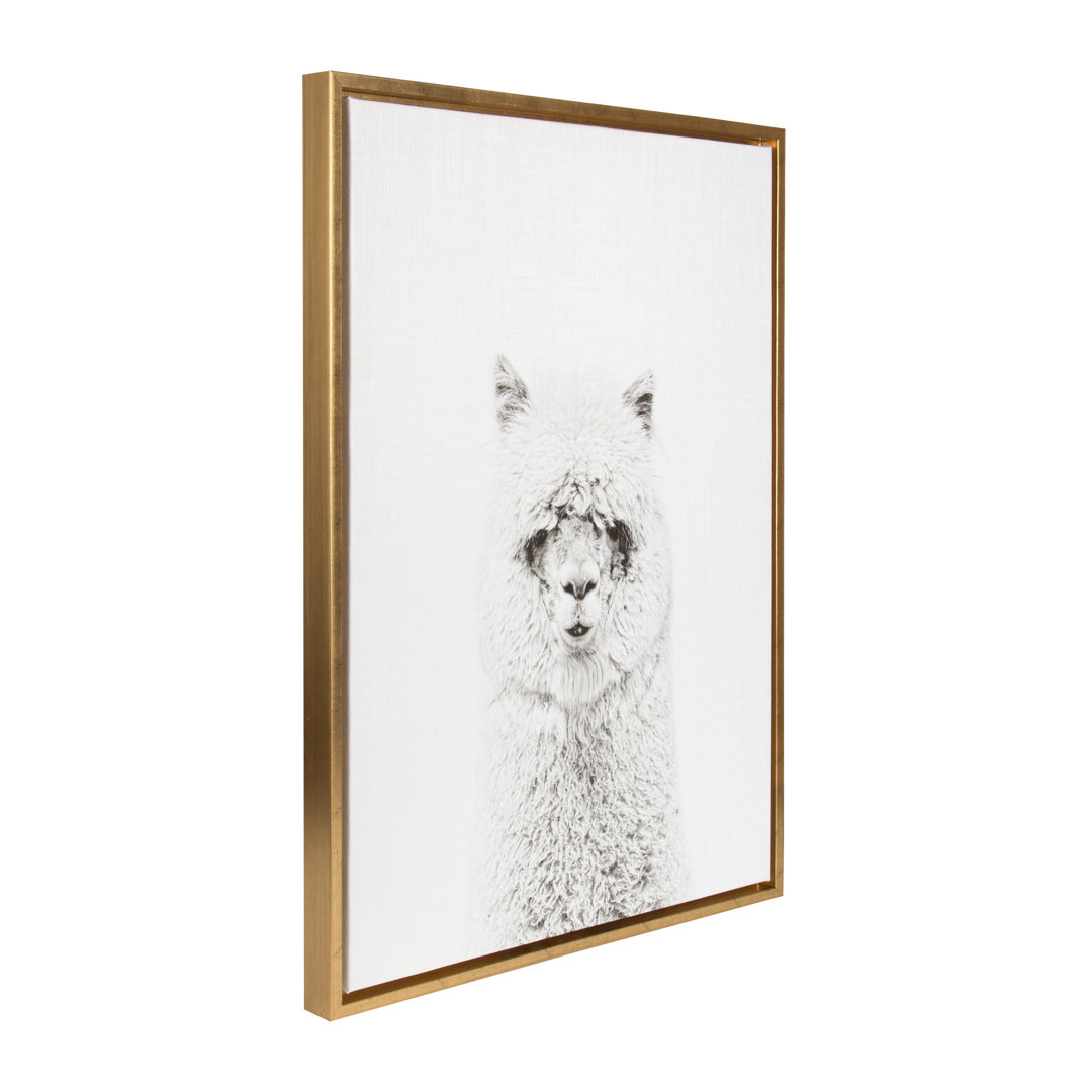 Hairy Alpaca by Simon Te of Tai Prints Framed Canvas Wall Art Print Ebern Designs Frame 