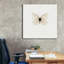 «Papillon blanc» par PhotoINC Studio-655522339