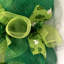 Couronne de trèfle scintillante St Patricks Day