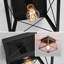 Demetrious 1-Light 25cm Flush Mount-1848358606